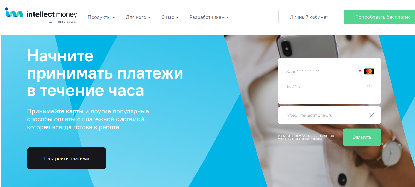 Обзор платежного сервиса intellectmoney.ru: комиссии и отзывы пользователей