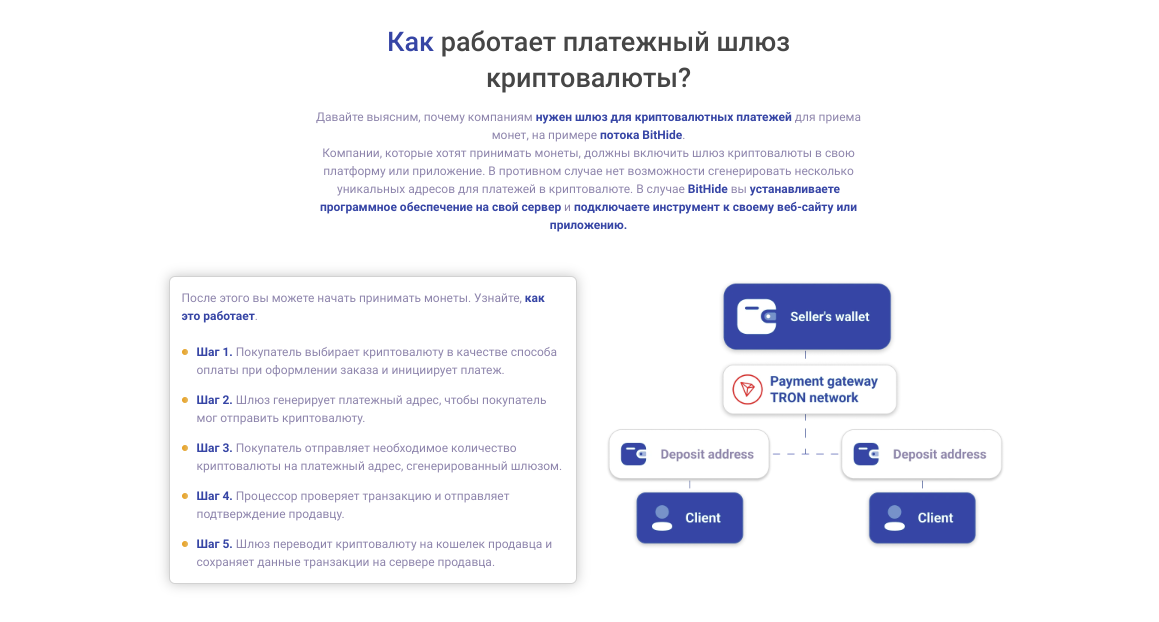 bithide.io