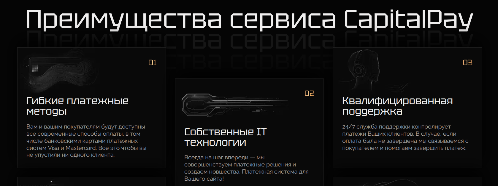 capitalpay.biz