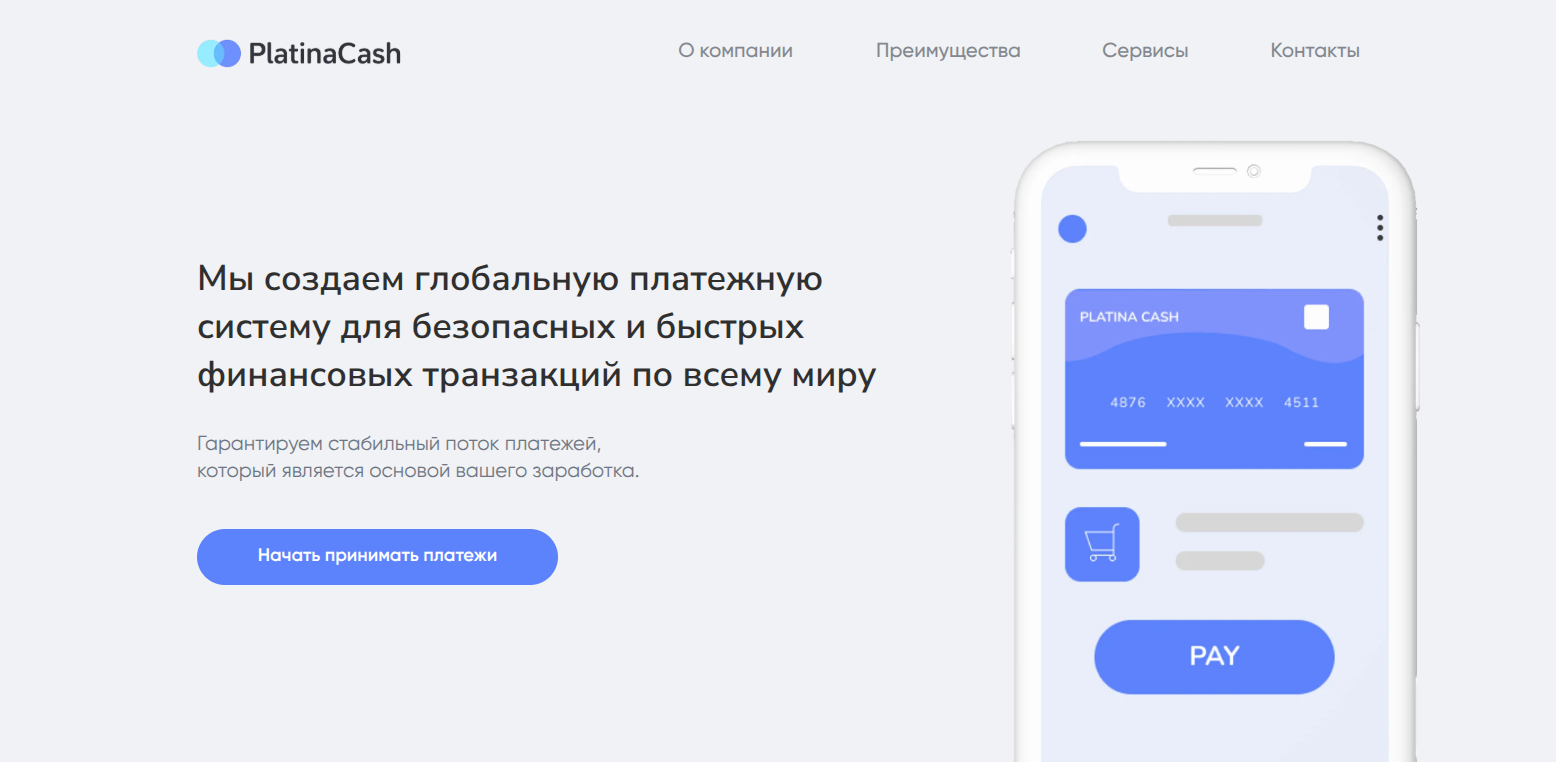 Платформа приема платежей PlatinaCash: обзор сервиса, возможности и отзывы пользователей