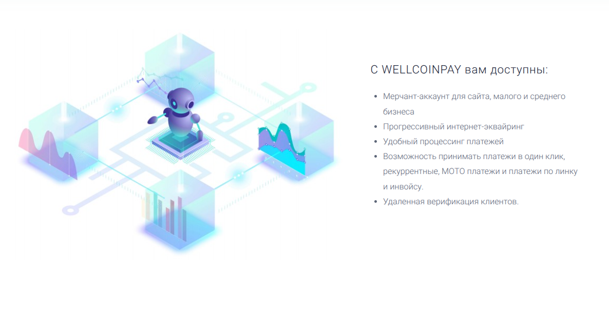 wellcoinpay.com